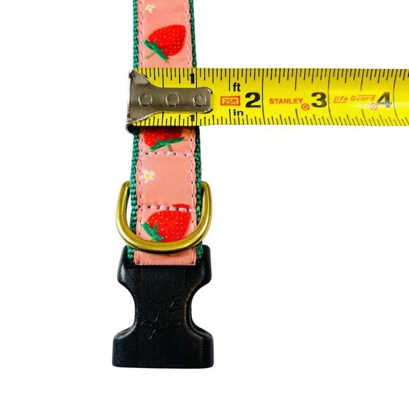Up Country Strawberry Fields Dog Medium Collar Matching Lead Leash 2PC Set USA - Picture 11 of 14